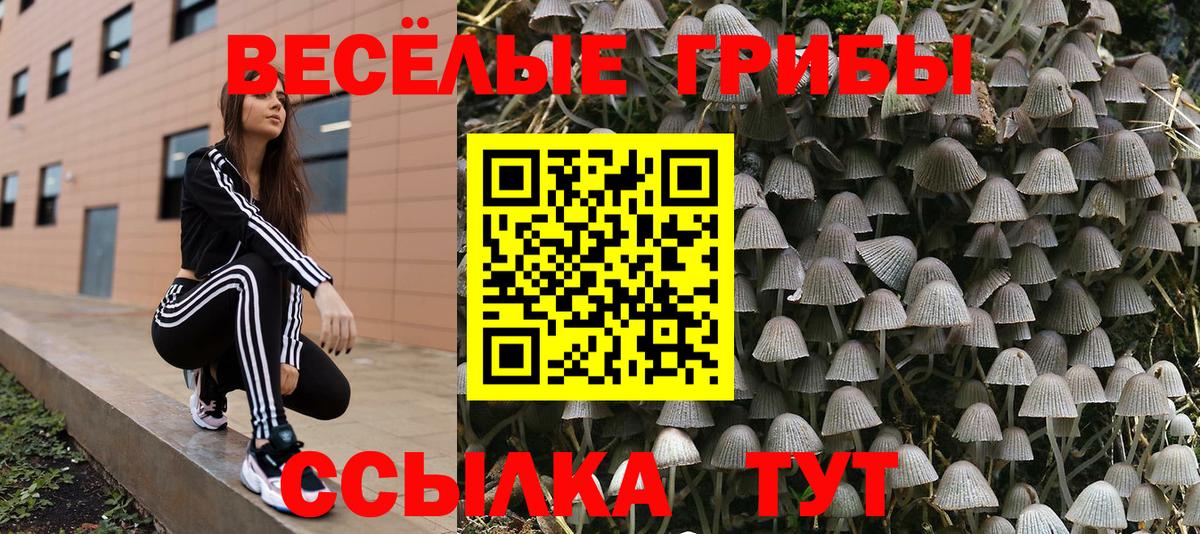 Ачинск  Псилоцибиновые грибы прущие грибы  Вход с VPN 