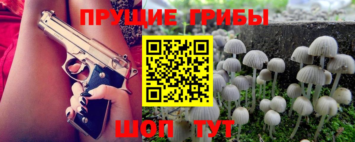 Псилоцибиновые грибы прущие грибы Ачинск